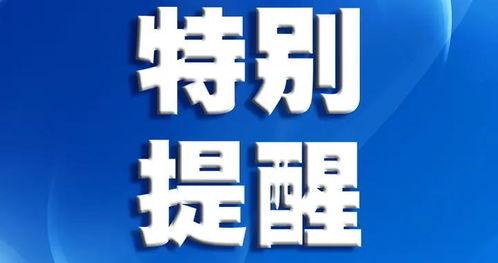 深圳爆料最新新闻消息视频,视频揭示城市动态与热点事件  第2张